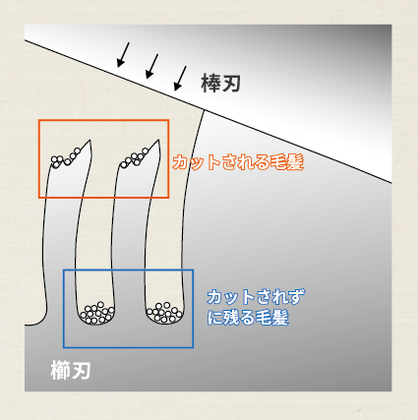 【値下げ中】ナルトシザー　セニング