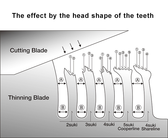 The effect by the head shape of the teeth