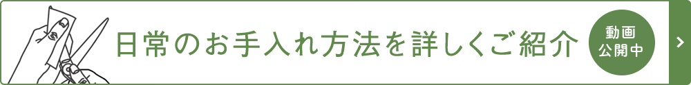 日常のお手入れ方法を詳しくご紹介 動画公開中